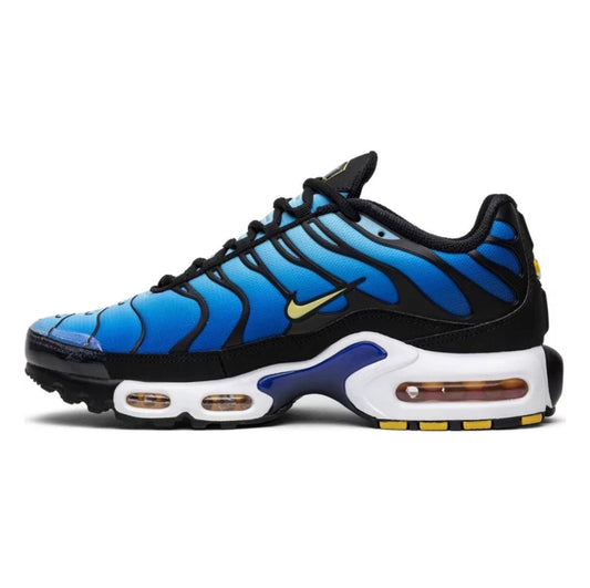 NIKE AIR MAX PLUS- Hyper Blue
